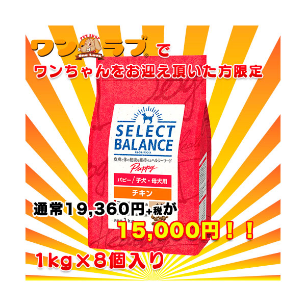 ベッツチョイス セレクトバランス パピー チキン 小粒 18.14kg ベッツチョイス セレクトバランス パピー チキン 小粒 18.14kg