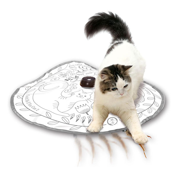 猫壱 キャッチ・ミー・イフ・ユー・キャン2