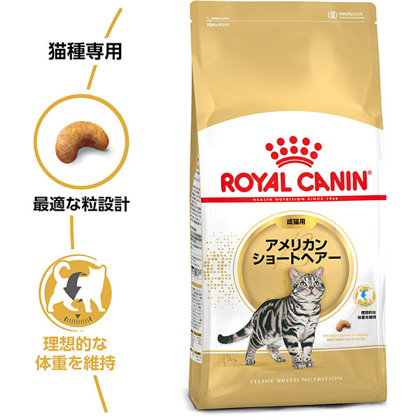 アメリカン ショートヘアー専用フード 成猫用
