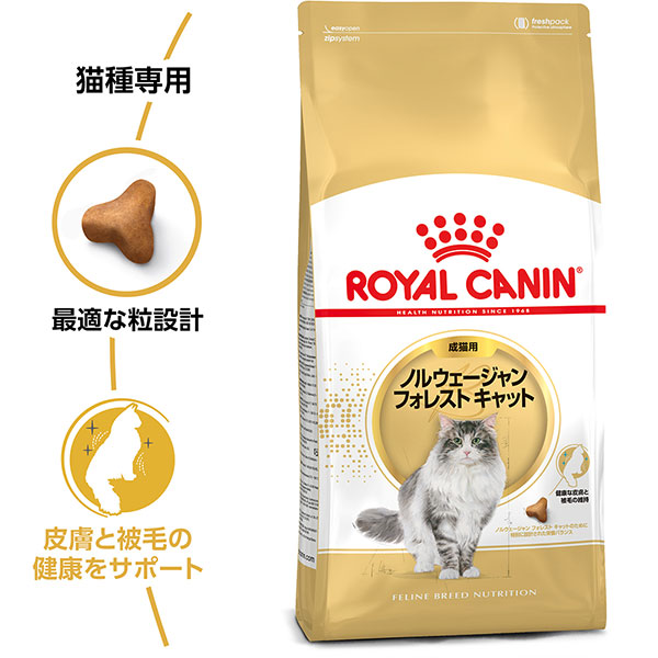 ノルウェージャン フォレスト キャット専用フード 成猫用