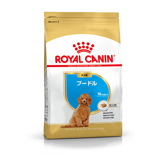 プードル 子犬用 800g
