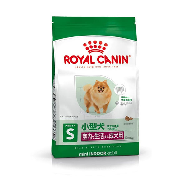 ミニ インドア アダルト