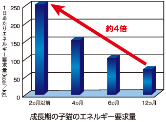 成長期の子猫のエネルギー要求量