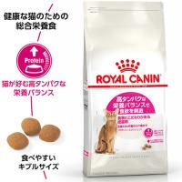 ロイヤルカナン プロテイン エクシジェント 成猫用