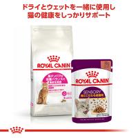 ロイヤルカナン プロテイン エクシジェント 成猫用