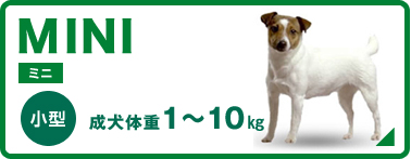 小型犬 1〜10kg