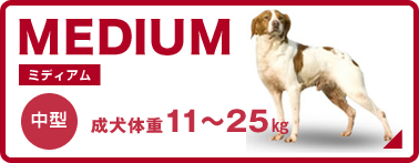 中型犬 11〜25kg